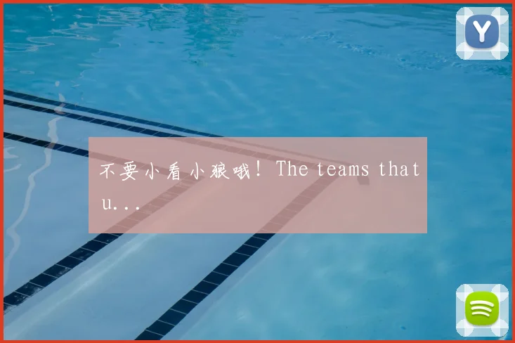 不要小看小狼哦！The teams that u...