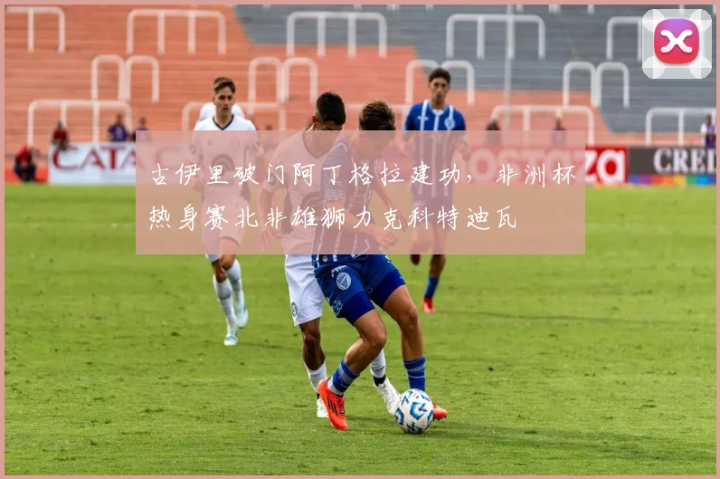古伊里破门阿丁格拉建功，非洲杯热身赛北非雄狮力克科特迪瓦